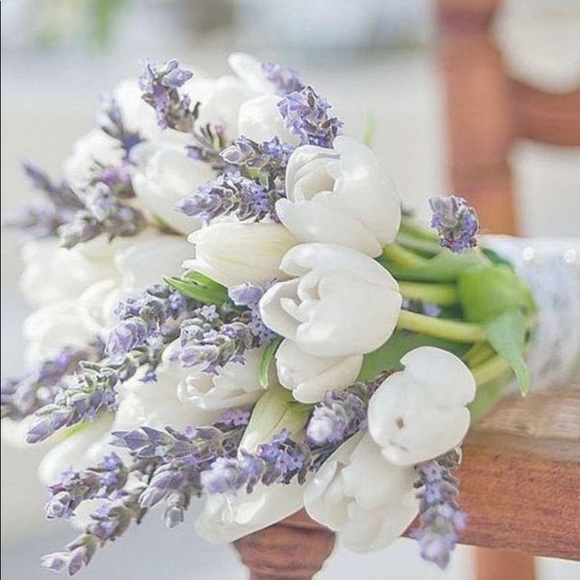 Meet your Posher, Sabrina - Picture 1 of 1